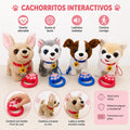 PELUCHE (25J05039)