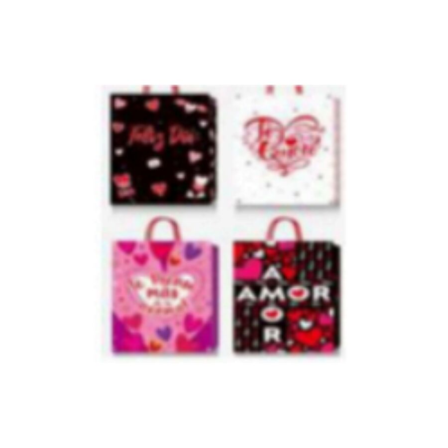 BOLSA REGALO  (25BZ0022)