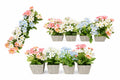 FLORES ARTIFICIALES