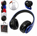 AURICULARESX100
