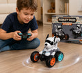 PERRO ROBOTx48