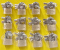 CANDADOS X12